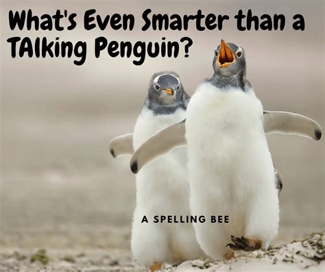 Best Funny Penguin Jokes For Children I Love Penguins
