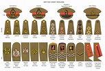 Her Majesty's Services: A Brief Guide to British Armed Forces Ranks ...