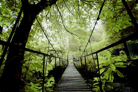 Kumpulan Kata-Kata Mutiara | Kata-kata Mutiara Tentang Kehidupan