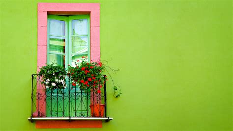 Free Scenery Wallpaper Includes Green Wall Window Looking Good On