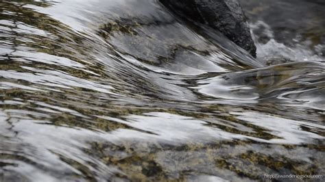 Down by the river moonrivermusicfestival sticker for ios & android. A Wandering Soul | Moving water, Nature gif, Water