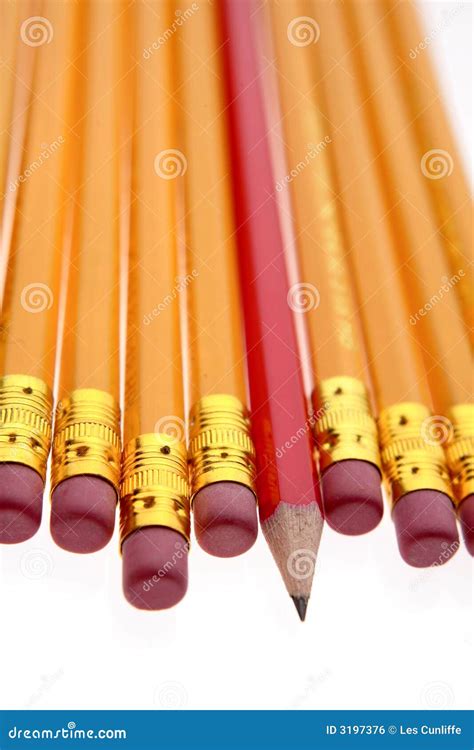 Pencils Stock Photo Image Of Yellow Business Studio 3197376