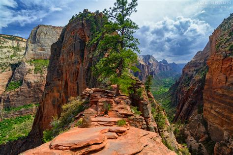 Joes Guide To Zion National Park Angels Landing Photos 3