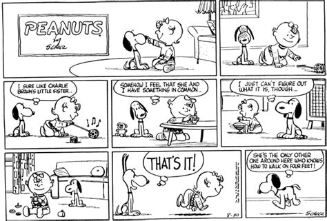August 1959 Comic Strips Peanuts Wiki Fandom