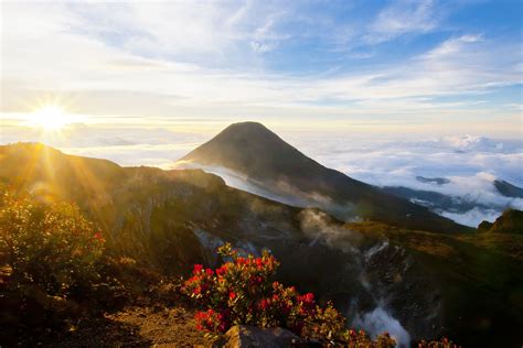 Exploring Gunung Gede Volcano And Park In Indonesia