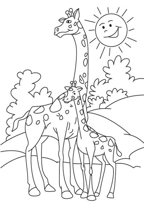 Free And Easy To Print Giraffe Coloring Pages Cute Coloring Pages
