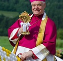 Kardinal Gerhard Ludwig Müller: Aktuelle News zum Erzbischof - WELT