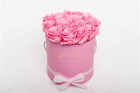 Long Life Roses In Pink Cylinder M Infinite Monte Carlo