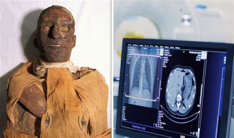 egypt why 3 000 year old pharaoh s body scan stunned archaeologists amazing flipboard