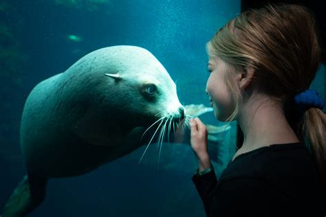 Nausicaá Agir Pour Locéan Avec Le Plus Grand Aquarium Deurope