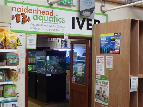 Iver Maidenhead Aquatics Fish Store Review Tropical Fish Site