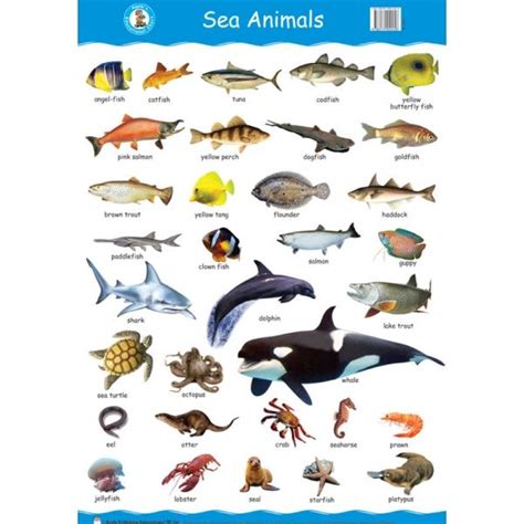 Sea Animals Wall Chart 600×600 Sea Animals List Names Pinterest