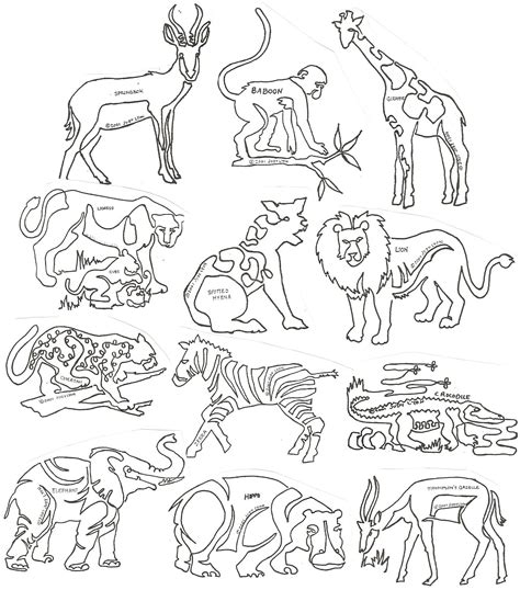 Safari Drawing At Explore Collection Of Safari Drawing