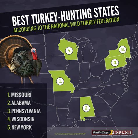 Turkey Huntings Top Ten States According To The National Wild Turkey