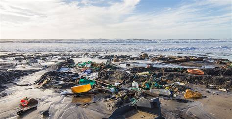 Just How Bad Is The Worlds Plastic Problem Natural History Museum