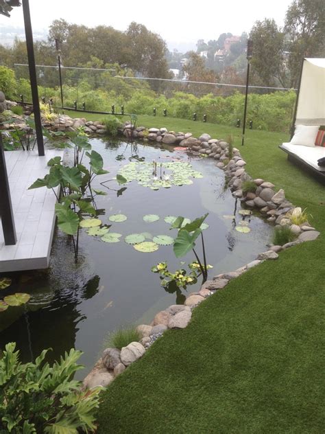 Read reviews written by 10best experts. zen koi pond - Modern - Landscape - Los Angeles - by ...