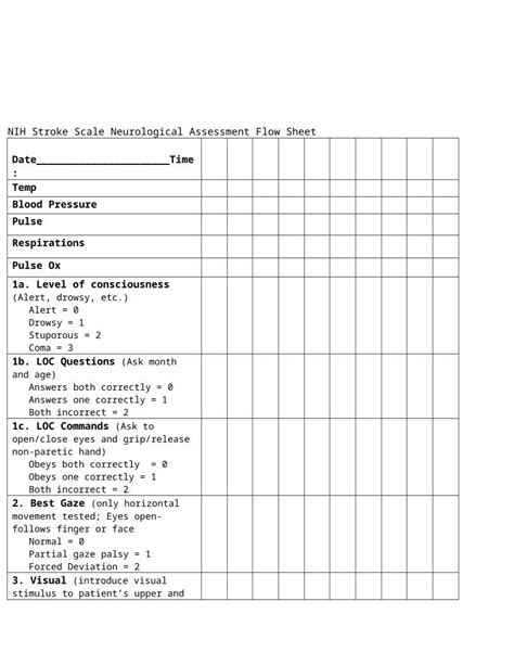 Doc Nih Stroke Scale Neurological Assessment Flow Sheet Dokumentips