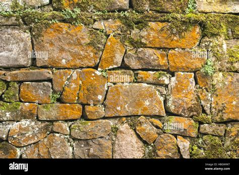 Stone Wall With Moss And Lichen Stock Photo Alamy