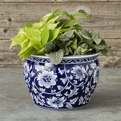 50 Stylish Indoor Planters And Pots For Your Home And Office Petal Republic