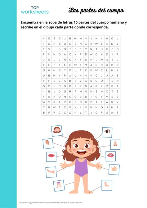 Sopa De Letras Las Partes Del Cuerpo Printable Worksheet Topworksheets