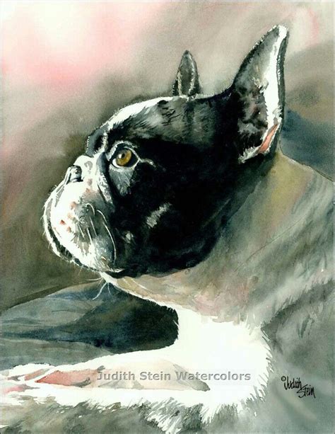 French Bulldog Watercolor Painting By Judith Stein Dog Art French