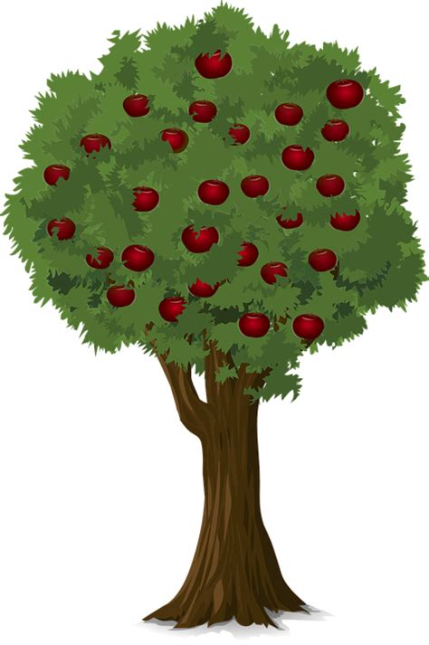 Дерево Яблоко Яблоня Бесплатная векторная графика на pixabay