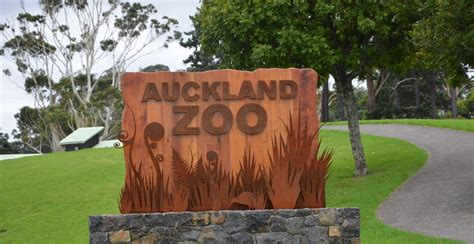 See A Kiwi At The Auckland Zoo Languages International