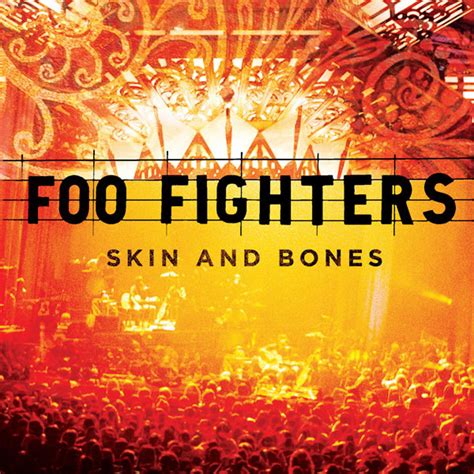 Foo Fighters Skin And Bones 2006 Cd Discogs