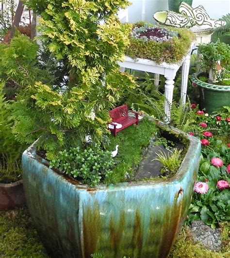 Round Up More About Miniature Garden Plants ‣ The Mini Garden Guru