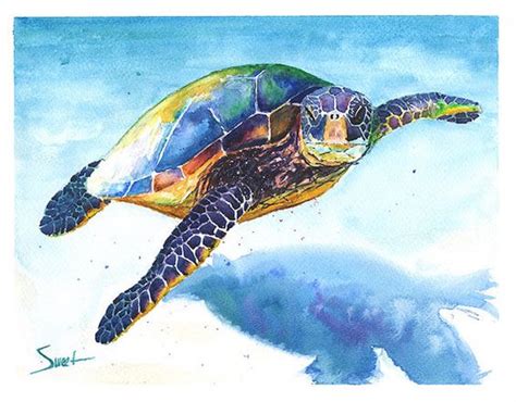 Sea Life Art Sea Turtles And Watercolor Sea On Pinterest