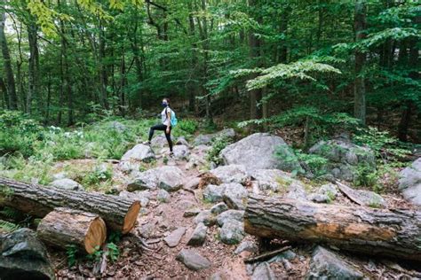 Hiking At Harriman State Park Enlightened By Bravery