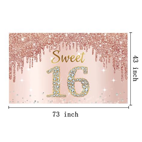 Happy Sweet 16th Birthday Banner Backdrop Decorations For Girls Rose