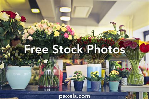 1000 Amazing Flower Shop Photos Pexels · Free Stock Photos