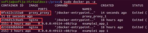 How To Setup A Reverse Proxy With Letsencrypt Ssl For All Your Docker