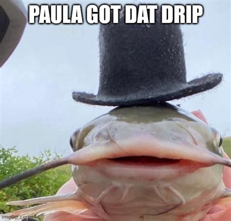 Image Tagged In Catfish Drip Imgflip