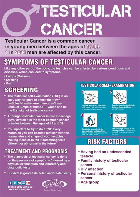 what you need to know about testicular cancer cansa the cancer association of south africa