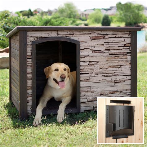 Have To Have It Precision Extreme Outback Woodstone Rust Creek Dog