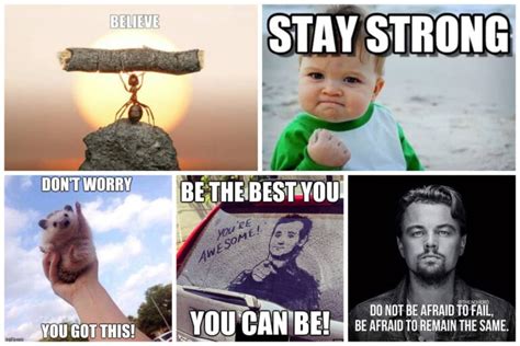 55 Funny Motivational Memes That Will Uplift Your Spirits Inspirationfeed