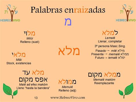 La Letra Mem Hebrew Words Hebrew Language Words
