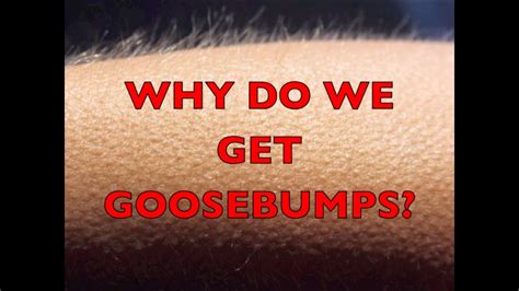 Goosebumps Youtube