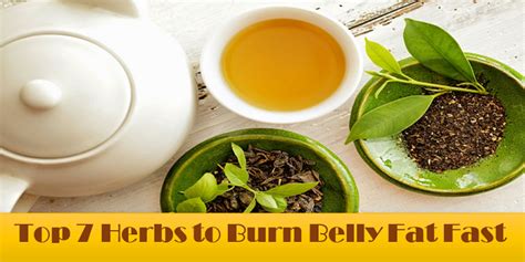 Best Herbs To Burn Belly Fat Faster