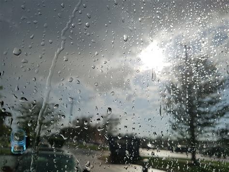 Sunny Rainstorm Gris Rainy Real Storm Sun Tree Weather Hd