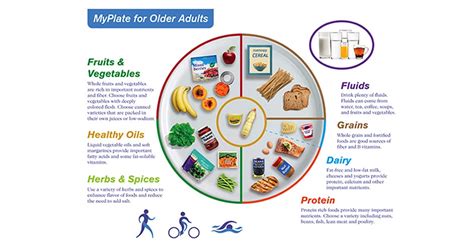 Nutrition For Seniors Myplate Infographic And The Importance Of