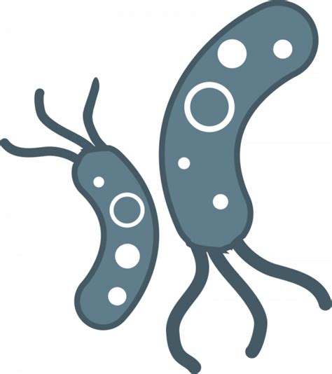 Transparent Background Bacteria Clipart Png Download Full Size