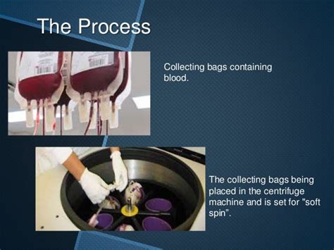 Blood Centrifugation Process