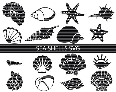 Sea Shells Svg Bundle Seashells Svg Beach Svg Ocean Cut Etsy