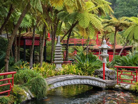 22 Tropical Garden Designs Decorating Ideas Design Trends Premium Psd Vector Downloads