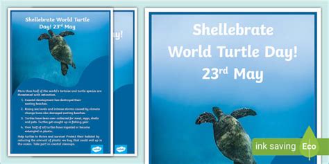 Animal Awareness Poster World Turtle Day Teacher Made