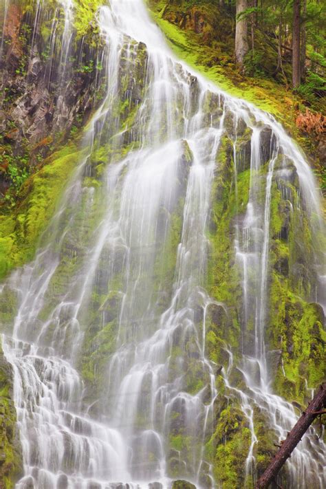 Proxy Falls In Willamette National Forest Oregon United States Of