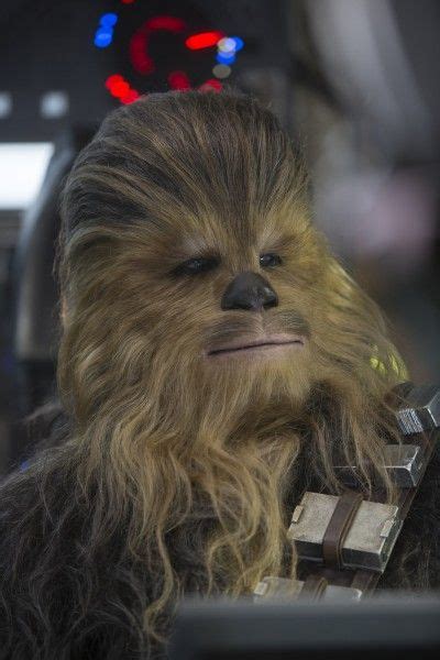 Collider Jedi Council Chewbacca Origin Story Confirmed Collider